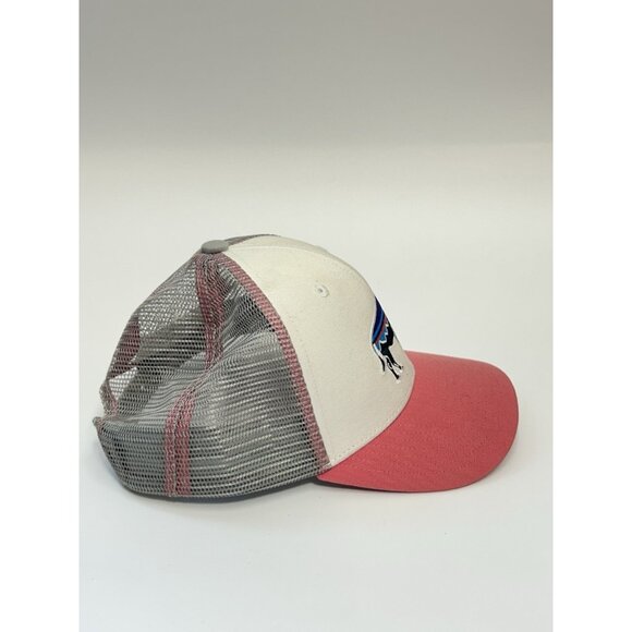 Patagonia Fitz Roy Bison Baseball Cap Hat Womens OS Multicolor Mesh Snapback main image 5